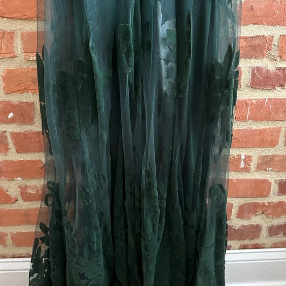 VICI Maxi Sheer Green Dress. Size Small. - Picture 3 of 5